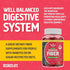 Sugar Free Prebiotic Fiber Gummies | 60 Count | Mixed Berry Flavor | Daily Digestive Health for Adults & Kids