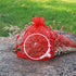 4x6 Inch Organza Gift Bags with Drawstring for Jewelry, Candy, 100 Pcs Red Sachet for Baby Shower, Party Favors, Wedding