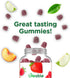 Gummies Gummies 60 Count Lifeable Lions Mane for Kids | Great Tasting Lions Mane Mushroom Supplement | Vegan, Kosher
