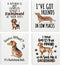 LARTSFRO Dachshund Dog Cute Swedish Dishcloths for Kitchen, 4 Pack Cute Dog Gifts