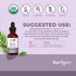 Horsetail 1 Oz MARYRUTH'S Organics Herbal Supplement Drops | Support Renal & Urinary Systems | Juniper Berry | Cleavers