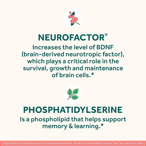 NEURIVA ORIGINAL Nootropic Brain Supplement 28ct Capsules - Clinically Tested for Memory, Focus & Concentration with