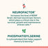 NEURIVA ORIGINAL Nootropic Brain Supplement 28ct Capsules - Clinically Tested for Memory, Focus & Concentration with