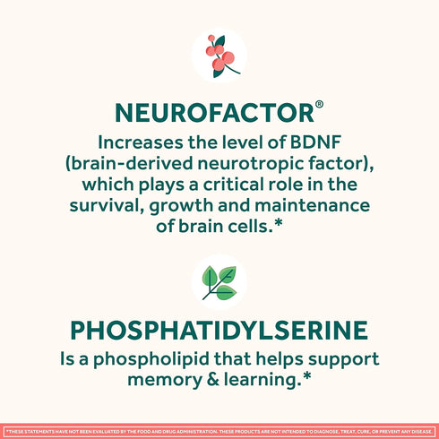 NEURIVA Brain Supplement for Memory & Focus, Caffeine-Free Gummies with Phosphatidylserine & Neurofactor