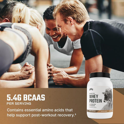 Levels Grass Fed Whey Protein Powder - No Artificials, 24G Protein, Double Chocolate, 2LB