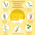 Lululun Hydra V Vitamin-Packed Facial Sheet Mask, 28 Sheets, Hydrating Face Mask with Vitamin C & E