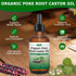 Ourea 2 Oz, Organic Poke Root Castor Oil, Natural Lymphatic Support Massage Oil, Soothing Relief for Cysts, Boils