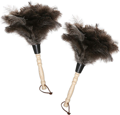 Natural Gray Ostrich Feather Duster, 2 Packs, Smart and Soft Cleaner for Blinds, Kitchen, Office