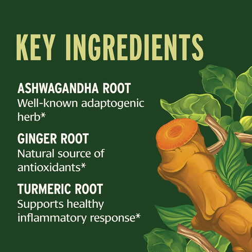Immune 1 oz. Banyan Botanicals I Travel Well Liquid Extract Organic Fast-Acting Support for Travel with Ashwagandha