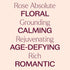 Plant Therapy Rose Absolute Essential Oil, 100% Pure, 10 mL (1/3 oz), Natural Aromatherapy