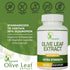Olive Leaf Extract, 4-Month Supply, 50% Oleuropein Highest Concentration