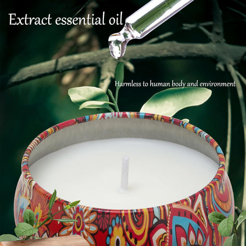 2 Pack Scented Candles Set, Classic 2.5 oz Fresh Sandalwood and Jasmine Aromatherapy Candles for Home Gifts