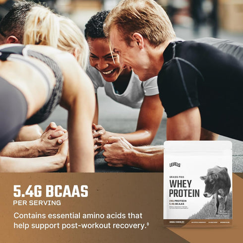 Grass Fed Whey Protein Powder by Levels - Double Chocolate, 24G Protein, No Artificials, 1LB