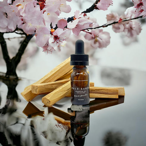 Palo Santo Essential Oil - Premium Grade A - Undiluted - 10 ml / 0.33oz -
