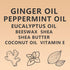 TOGOLIUN (2) Sweet Ginger Vapor Rub Stick All-Natural Herbal Balm with Ginger & Peppermint, Plant-Based Formula