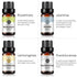 Set 14 Set-14 Pack, 10ml Essential Oils - Top Aromatherapy Oils Gift (Lemon, Eucalyptus, Lavender, Lemongrass, Sweet