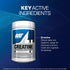 GAT SPORT Creatine Monohydrate Powder - Strength, Brain Health, Endurance, Unflavored (300g)