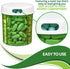 Round Pill Organizer Dispenser, Pack of 2, Pill Boxes with 4 Compartments for Medication & Vitamins