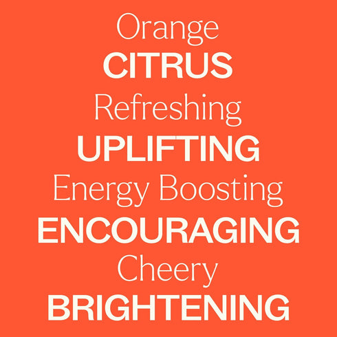 Plant Therapy Orange Essence Oil, 10 mL (1/3 oz) 100% Pure, Undiluted