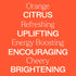 Plant Therapy Orange Essence Oil, 10 mL (1/3 oz) 100% Pure, Undiluted