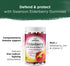 Gummies Immune Immune 60 Gummies) Swanson Elderberry with Zinc & Vitamin C - Support Supplement Promoting A Healthy