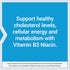 Life Extension Vitamin B3 Niacin 500 mg for Heart Health, Cellular Energy – Gluten-Free, Non-GMO, 100 Capsules