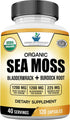American Standard Supplements Organic Sea Moss, Bladderwrack & Burdock Root Capsules, 1200mg, 120 Capsules