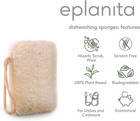 Natural Dishwashing Sponges (Pack of 6), Kitchen Eco Scrub Scourer, Natural Loofah Plant, Biodegradable and Zero Waste