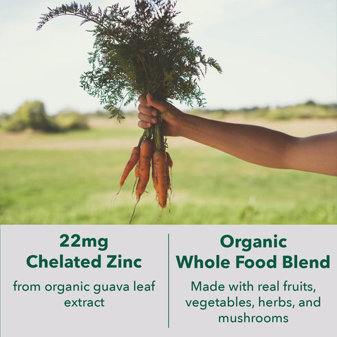 PlantFusion Vegan Zinc Supplements 22 mg, Wholefood Complex, Chelated Zinc Citrate from Organic Guava Leaf