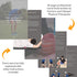 Peanut Massage Ball - Double Lacrosse and Peanut Ball Therapy | Trigger Point Deep Tissue Exercise | Back Muscle Foam