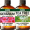 Rose Geranium Oil for Skin & Tea Tree Oil for Skin Set