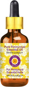 Deve Herbes Pure Pennyroyal Essential Oil, Steam Distilled with Glass Dropper, 10ml (0.33 oz)