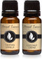 Eternal Essence Oils Fragrance Oil 2 Pack - Coconut Cream & Tahitian Vanilla for Diffusers & Candle Making