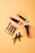 Portable ON THE GO Makeup Brush Set, COSHINE 10pcs Mini Complete Cosmetic Brushes Kit with Pouch (Black)