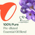 Plant Therapy Sensual Essential Oil Blend, 100% Pure, Pre-Diluted Roll-On, 10 mL (1/3 oz), Natural Aromatherapy