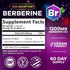 Berberine Supplement 1200mg, High Absorption Berberine Supplements Heart Health & Immune Support Berberine Supplement - Berberine HCL Supplement Pills, Gluten-Free Berberine HCI - 120 Veggie Capsules