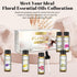 Floral Essential Oils Set of 6 - Pure Essential Oil Gift Set for Diffusers, Soap & Candle Making - 10ml