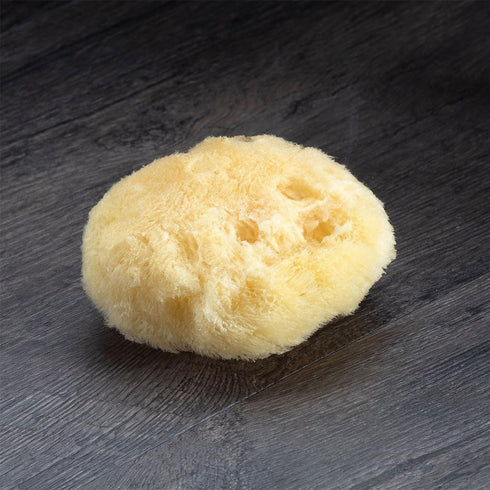 Sea Soft Silk Sponge for Cosmetic Use, Facial Cleansing, 3-4 Inches
