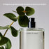 Salt & Stone Body Mist, Bergamot & Hinoki Scent - Skincare Infused Perfume Hair & Body Spray for Women and Men (3.4 fl