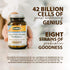 Flora Super 8 Hi Potency Probiotics - 30 Count - 42 Billion CFU, Raw, Gluten Free - Healthy Yeast Balance & Digestive