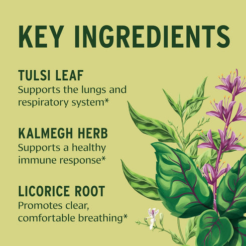 Banyan Botanicals Immune Strong – Organic Supplement with Turmeric & Tulsi, 90 Tablets, Non-GMO Vegan