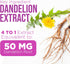 Milk Thistle Supplement 1000mg | 120 Capsules | Liver Cleanse Detox & Repair Formula with Herbal Extracts