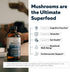 MycoMax Mushroom Complex - 70% Beta Glucans, Promotes Cognition, Immunity, Energy, 8 oz.