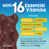 YUM-V'S Kids Multivitamin Chewable Chocolate Bears, 60 Count, Multivitamin for Kids Supplement, 16 Vitamins & Minerals