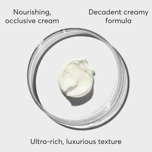 Naturium Plant Ceramide Rich Moisture Cream - Hydrating & Anti-Aging Skincare - 3.5 oz