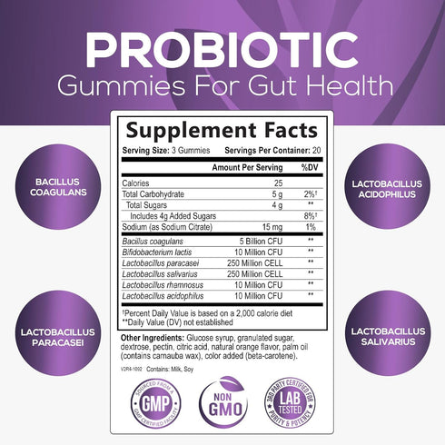 Probiotic Gummies for Digestive Health, Daily Probiotics for Women & Men, 5 Billion CFUs, Nature's Pro Biotics Gummy for Immune Support, Digestive Nutritional Supplements, Orange Flavor - 60 Gummies