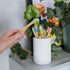 TreeBird Kids Bamboo Toothbrush 6-Pack | Eco-Friendly Dental Care with Super Soft Bristles and Compostable Handles