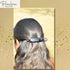 Parcelona French Sleek Tortoise Shell Brown Large Hair Clips, 4 1/2", Metal Free, Strong Hold, Made in France