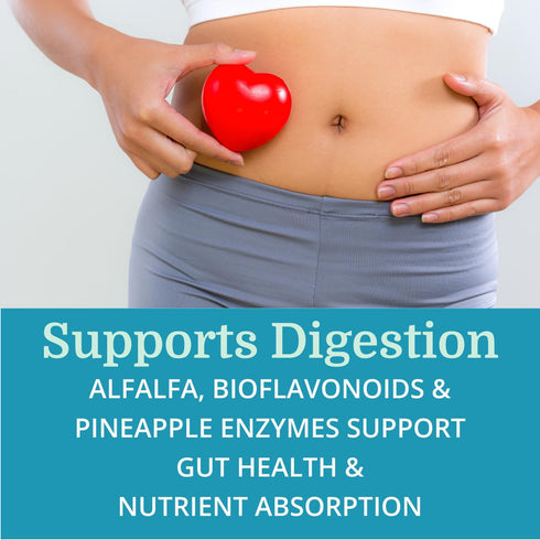 SuperV BEST Process Alkaline, Energizing & Detoxifying Multivitamin with Superfoods and Herbs