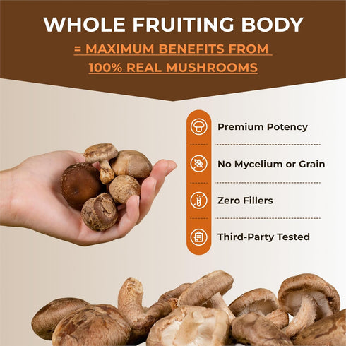 Sacred 7 Organic Mushroom Supplement, 100% Fruiting Body Extract Powder with Lions Mane, Reishi, Chaga & More